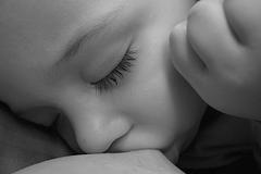 41310610_35bd896ac3_m1.jpg 41310610_35bd896ac3_m1.jpg