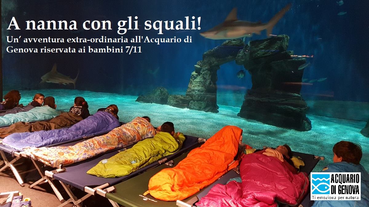 Notte con gli squali all’Acquario di Genova Notte con gli squali all’Acquario di Genova