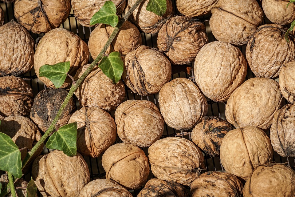 frutta a guscio, noci, noce, frutta secca