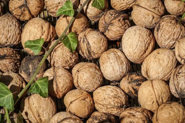 Frutta secca anche per dimagrire, una buona e sana abitudine