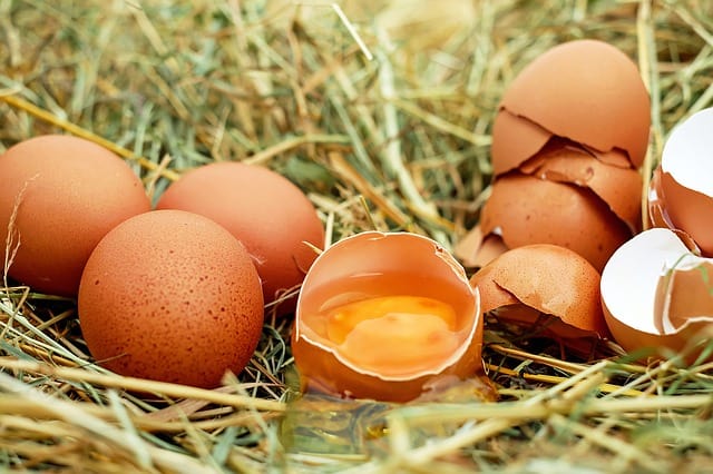 Dieta post-parto: 12 super cibi per le neomamme uova
