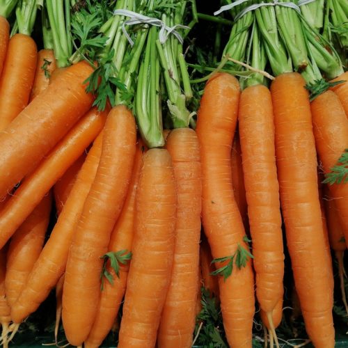 carrots, herb, vegetables